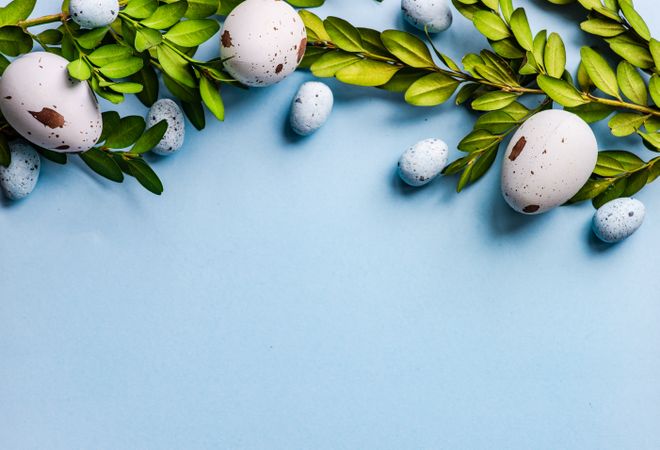 Easter holiday card with spotted eggs and branch on pastel blue background