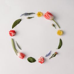 Round frame made of colorful spring flowers and leaves