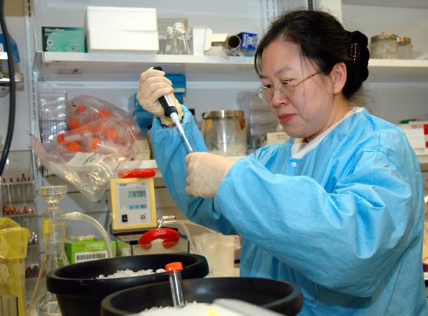 Bethesda, MD - USA, 2005: Female Asian laboratory technician