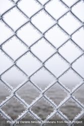 Metal fence with fresh ice 5pQGy4