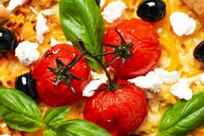Concept of tasty food, delicious Vegetable galette