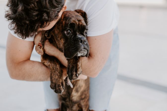 Curious cheeky dog on hands of owner