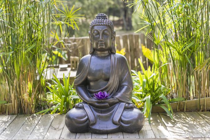 Meditating Buddha Statue with a purple lotus on his hands on a backyard.