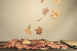 Autumnal foliage spinning in the wind