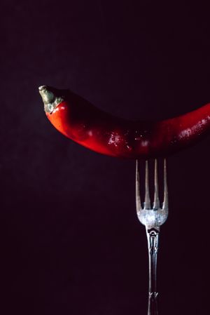red chili pepper in fork on a dark background
