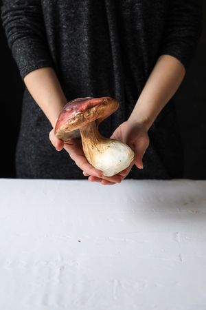 Large mushroom with brown cap