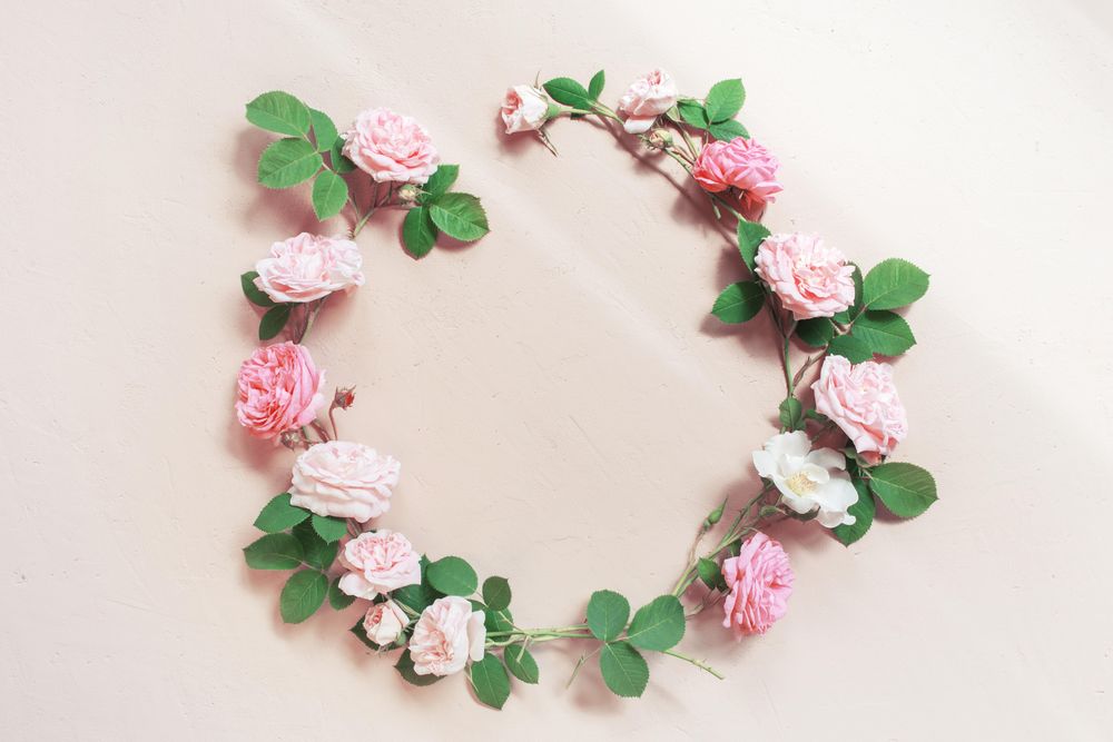 Ring of delicate pink roses
