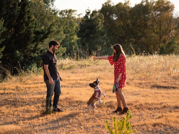Happy active couple playing with dog outdoors