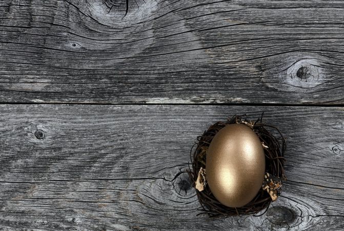 Golden egg in nest on aged wood
