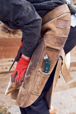Blacksmith changing horseshoe to the leg of a horse using bald lime hammer pliers