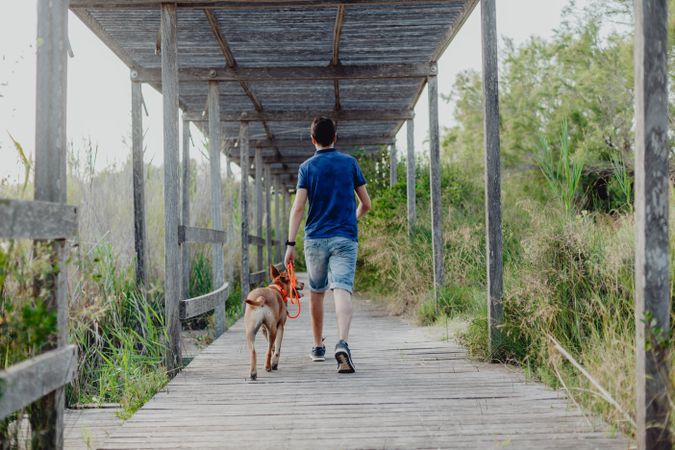 Happy adult man running with dog along countryside