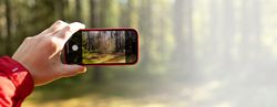Save Nature Beyond The Screen