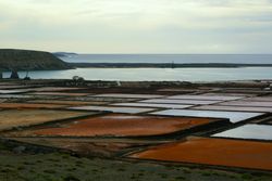 Amazing calm landscape of colorful bright fields