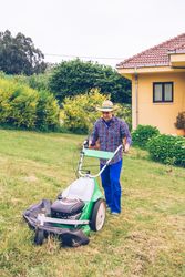 Young man mowing the lawn with lawnmower