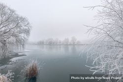 Lake frames with frosted trees 5zG9X4