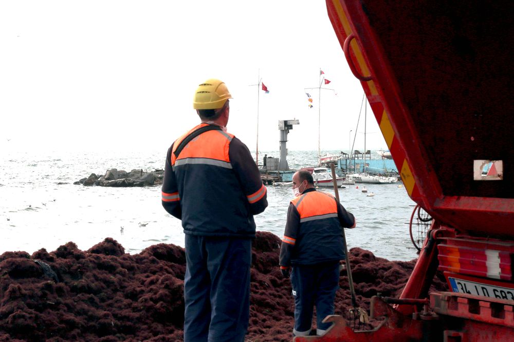 Two workers in uniform standing beside a construction site