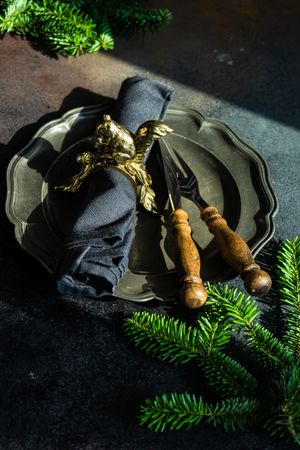 Dark plate with knife and fork with pine branch with sun light coming in