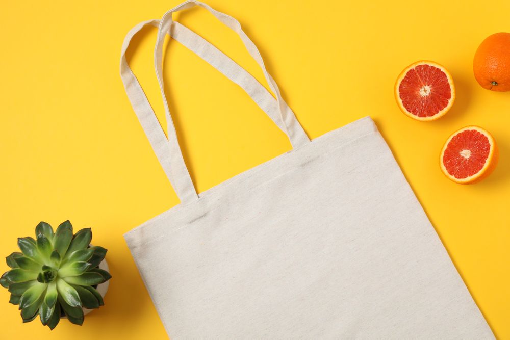 Eco bag, succulent plant and orange on color background, copy space