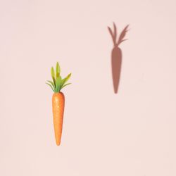Carrot and shadow on pastel yellow background