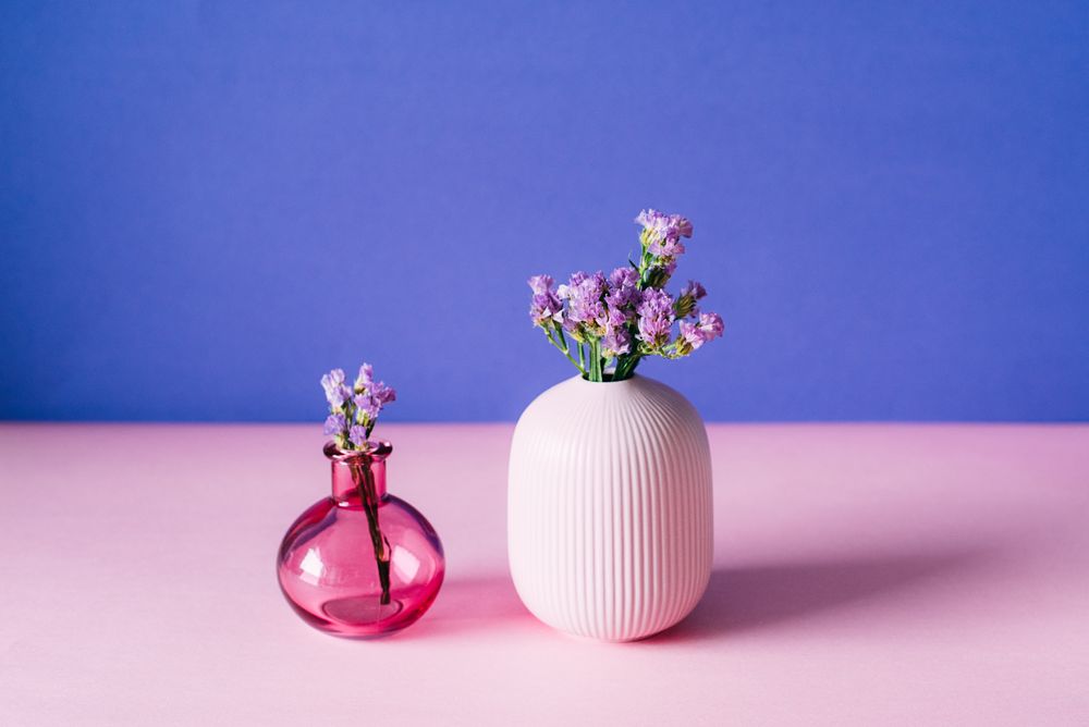 Violet sea lavender flowers in a pink and blue background