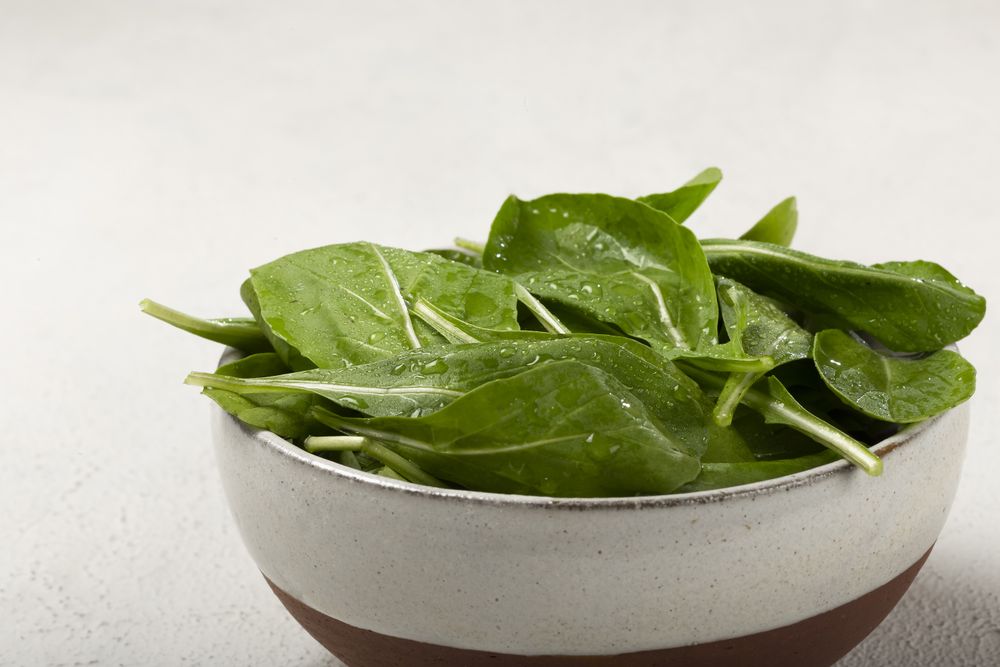 Arugula salad in a bowl