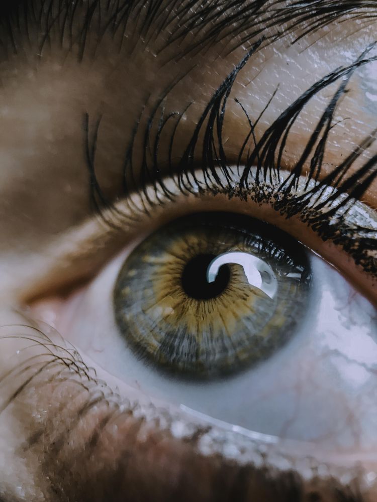 Close-up shot of person's gray eye