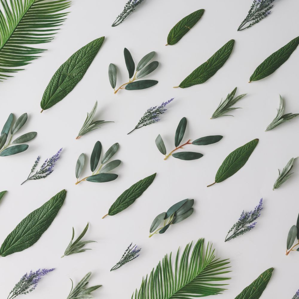 Green in pattern on light background