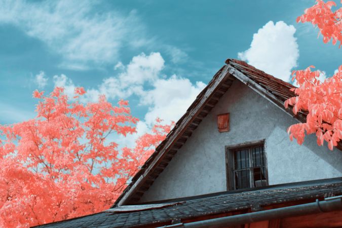 Infrared trees near suburban houses