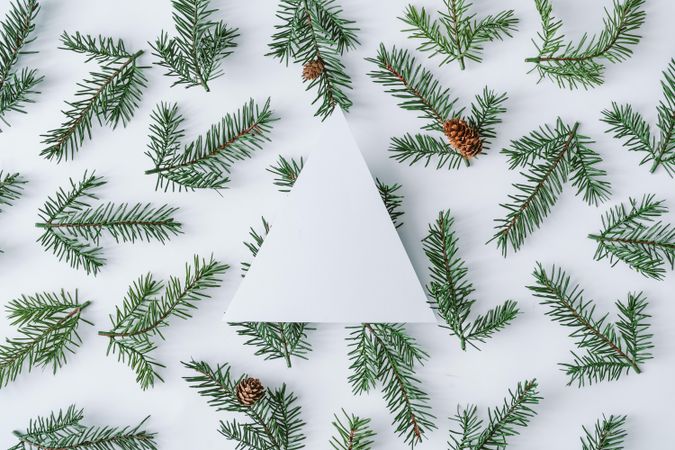 Fir branch pattern on light background with paper tree shape