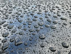 A wet surface with many small water droplets scattered across it