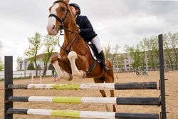 Equestrian event, rider and horse mid-obstacle course.