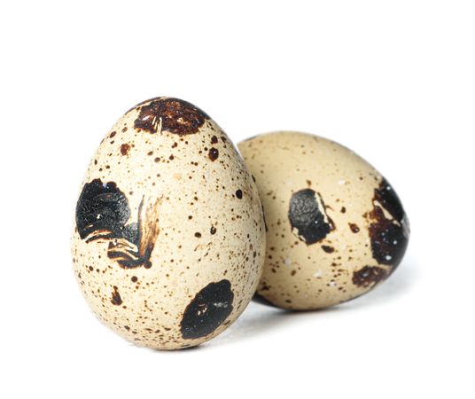 Raw quail eggs isolated on blank background