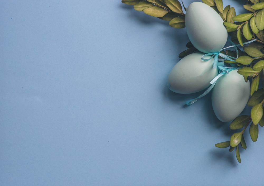 Easter holiday card with eggs and branch on pastel blue background