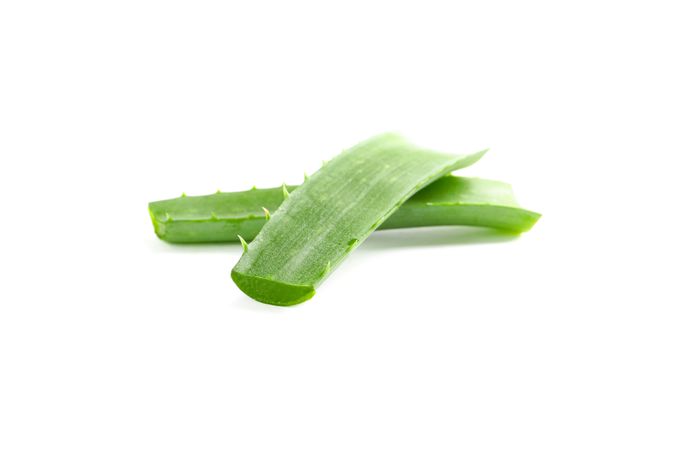 Aloe vera leaves isolated on blank background. Herbal medicine