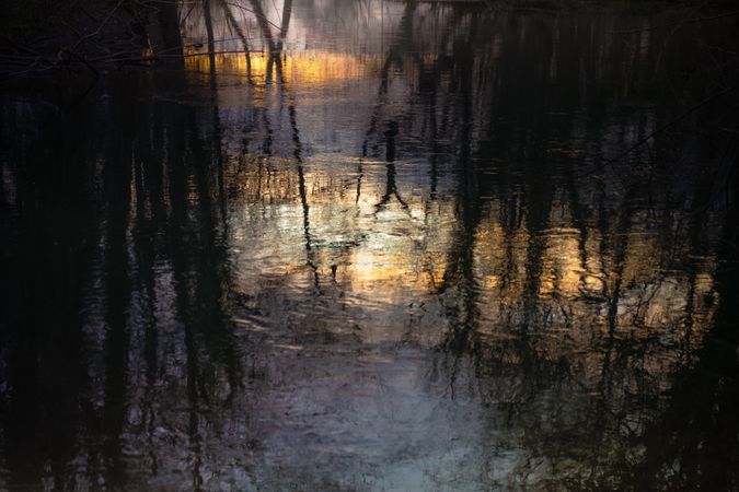 Ripples of water with reflections of trees