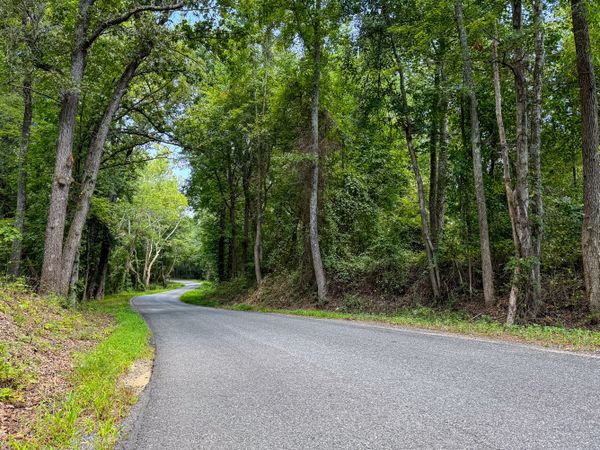 The bends of Salem Church Road, King George, VA