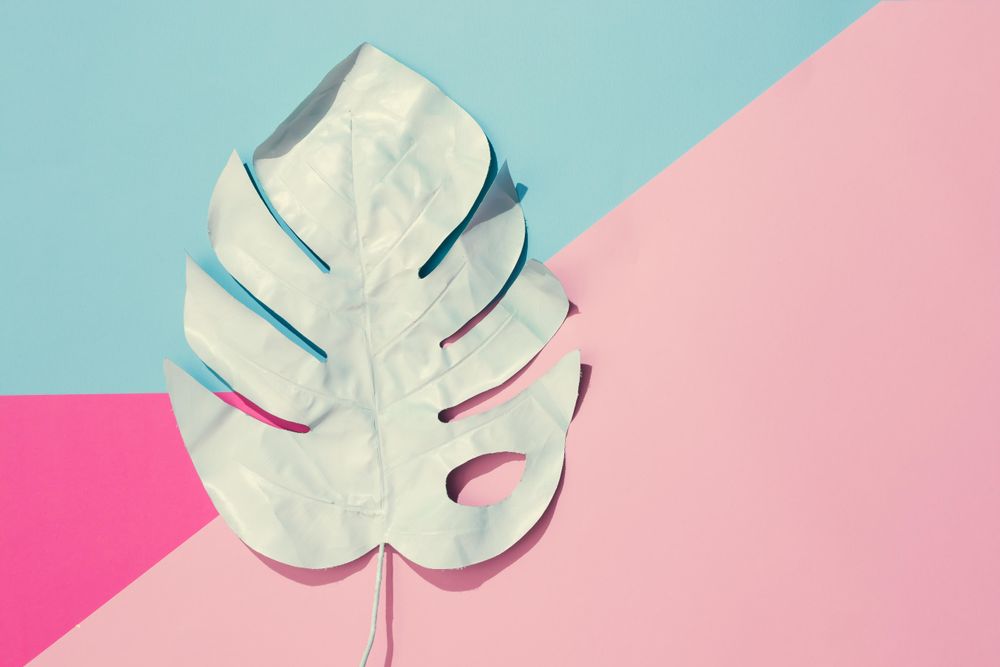 Tropical leaf on geometric pastel pink and blue background