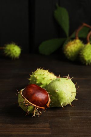Fresh and ripe chestnuts, close up, Autumn chestnuts