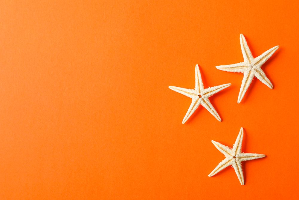 Starfishes on color background, space for text, top view. Summer backdrop