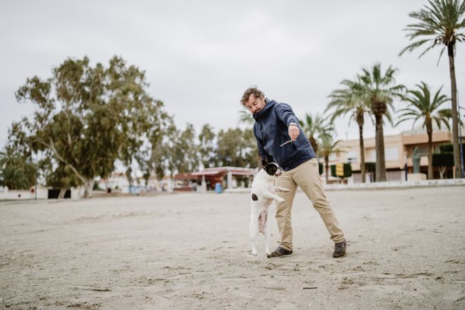 Owner playing with dog on beach