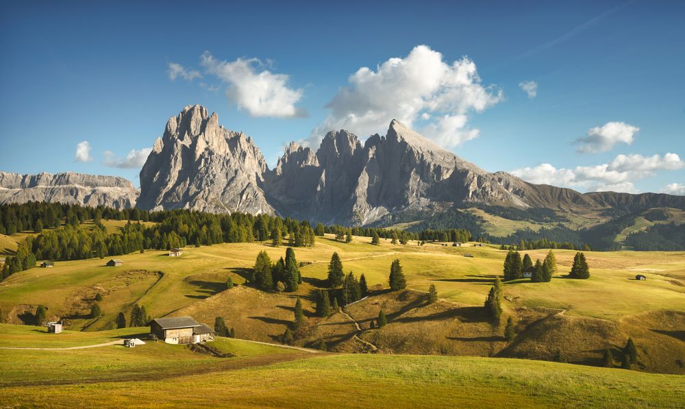 Alpe di Siusi or Seiser Alm and Sassolungo mountain, Dolomites Alps, Italy