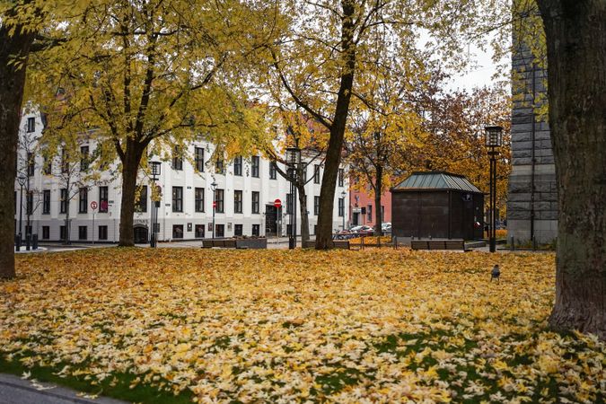 Autumn in patio of Oslo Cathedral in Norway