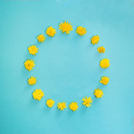 Pattern of yellow spring flowers in circle shape