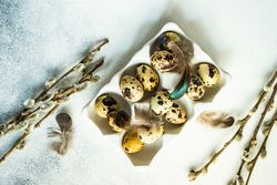 Easter card concept with carton full of small speckled eggs with pussy willow branches