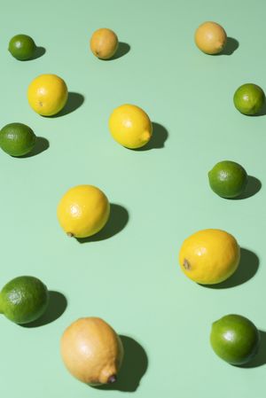 Lemons and limes fruits pattern