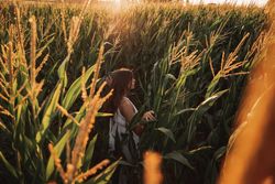 Woman in field ears of wheat on field on sunny day