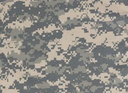 Memorial or Independence background