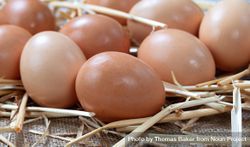 Farm fresh brown organic eggs 561DP0