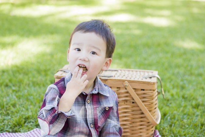 Young Biracial Boy Sitting in Park Near Picnic Basket
