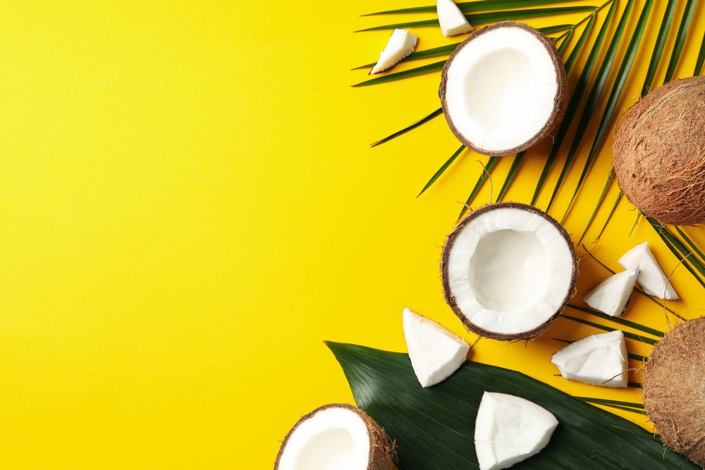 Coconut and palm branch on yellow background. Tropical fruit
